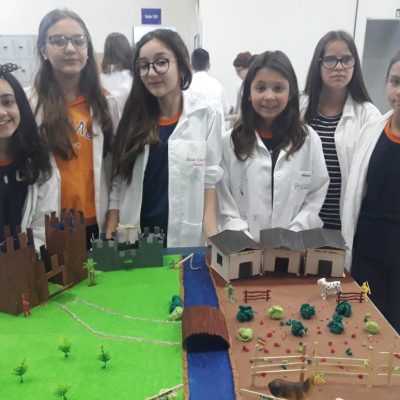 Em maquetes, estudantes do Colégio Guairacá recriam sistema feudal