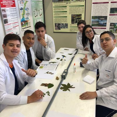 Atividades práticas de biologia no Colégio Guairacá facilitam o aprendizado dos alunos