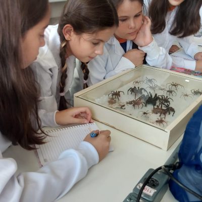 Classificação biológica é tema de aula prática